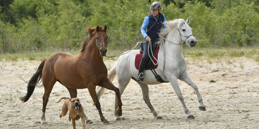 3 tage Multilevel Kurs Schmallenberg 1 , Sauerland Deutschland