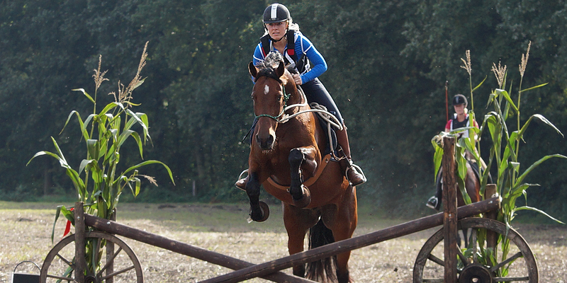 3 daagse Clinic in  Rebbelah, Lunerburgerheide, Duitsland