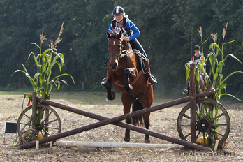 doortrainen jonge en herstart paarden