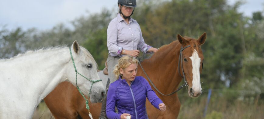 zelf je jonge paard starten - l' Equivalent