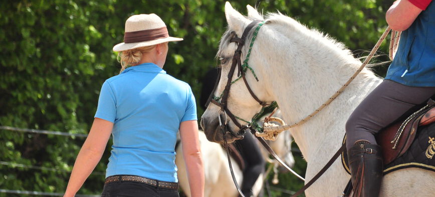 Horsemanship basis - l' Equivalent