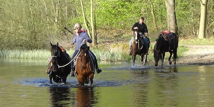 3 tage Multilevel Kurs  Sudheide 1 - Lüneburger heide