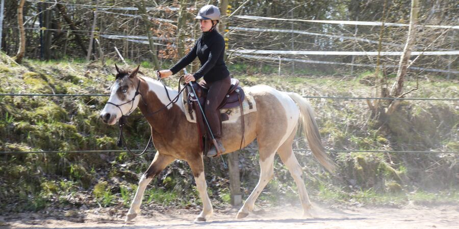 3 Tage Multilevel Kurs Bad Steben 1, Landkreis Hof, Bayern