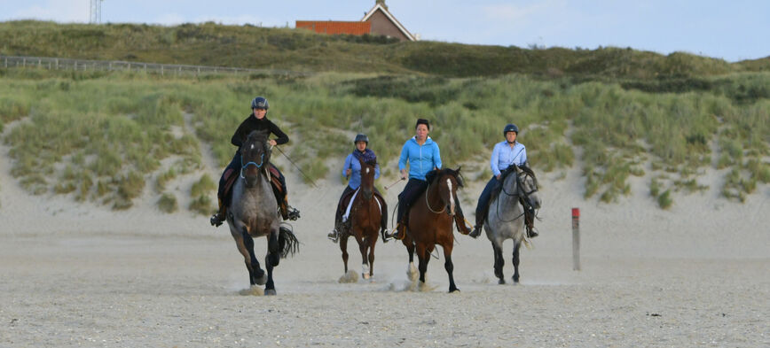 Versterk je band met je paard op een buitenrit - l' Equivalent